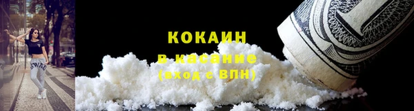 амф Богданович