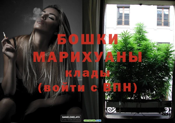 спиды Пересвет