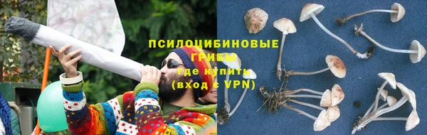 амф Богданович