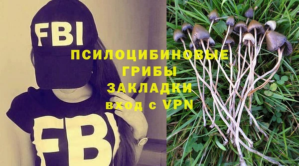 ALPHA PVP Богородск